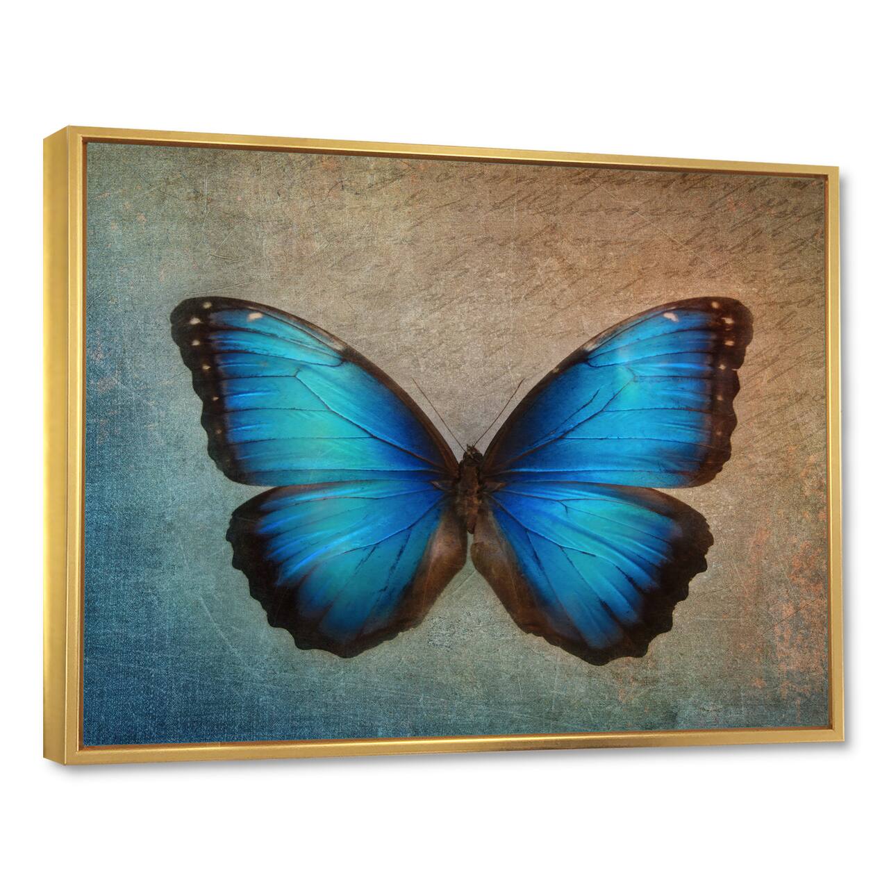 Designart - Blue Vintage Butterfly - Floral Art Framed Canvas Print